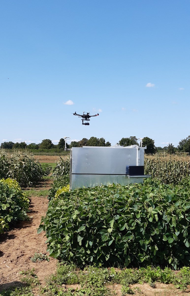 Bei bestem Wetter waren wir heute zu Besuch beim Bonner Exzellenzcluster PhenoRob! Was wir da gemacht haben? 🤔Zeigen wir euch in unserer nächsten Reportage!😜 Vielen Dank @PhenoRob  fürs Mitmachen! #DasIstBioökonomie #wissenschaftsjahr @w_jahr