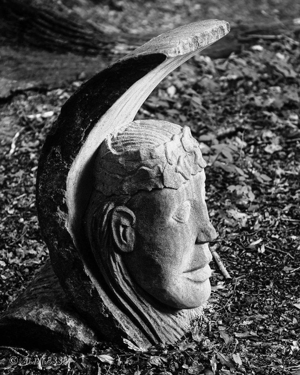 abdalla8338's tweet photo. Monochrome &amp; colour- The Moon gazer at the Storrs’s woodland arts trail.
——————————————-
#MoonGazer #andrewvickers  #Sculpturepark #bnwphotography 
#storrswood #stoneface #stonefacecreative #Sheffield #bnw #theoutdoorcity #VisitSheffield #sculpture #SculptureArts #bnwarts https://t.co/ccCJlrr1yF