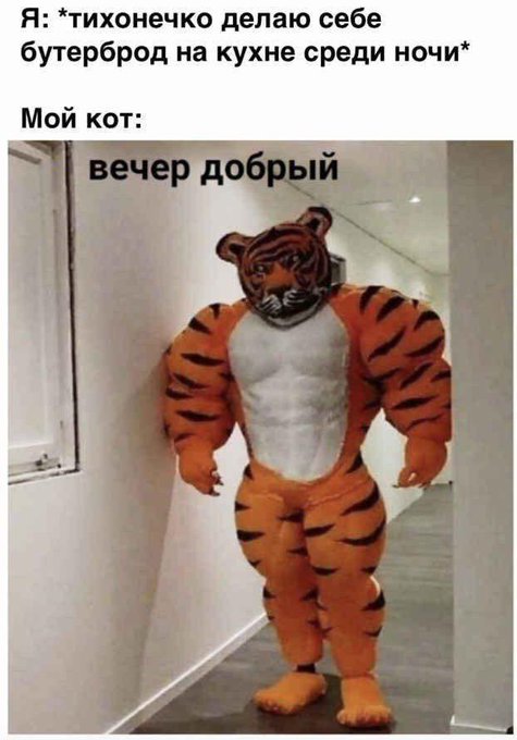 E9kLAVUWYAIM6OS?format=jpg&name=small