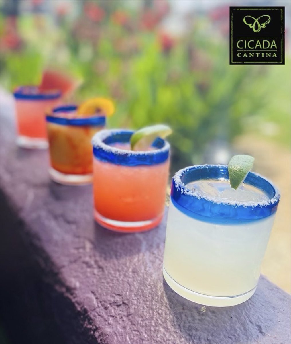 Follow the Margaritas to Taco Tuesday <a href="/cicadacantina/">Cicada Cantina</a> #LagunaGateway #TacoTuesday #Margaritas