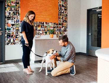 KatyMagazine's tweet photo. SPOILED KATY DOG ALERT! New center to open with pet spa, indoor daycare with webcams, & more. https://t.co/poPqxU6izn #KatyTX #Katynews #dogtopia #Katydogs https://t.co/Ecm7Vpnrbl