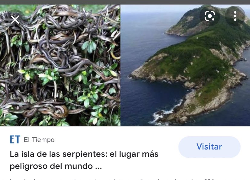 toqueztoquez's tweet photo. @Herpeto_cosas @A_ausdenRuthen Donde me imagino que vive @A_ausdenRuthen https://t.co/LhyZytqYdY