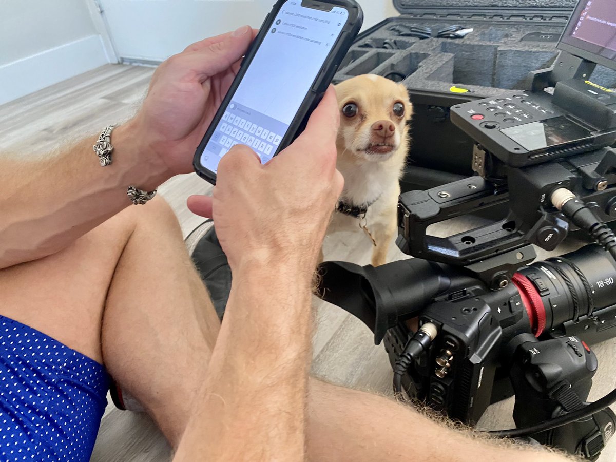 mrPam's tweet photo. Even when it’s crunch time, there’s always time for chihuahua kisses!! ❤️🐭🎥❤️ Poooop! #cameraman @BrianBondsXXX @WhamBam_Studios @FilmsDisruptive #NextStopVegas Slurp!! https://t.co/ik7d5V1V4G