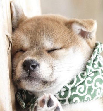 ………………………………………いざ 