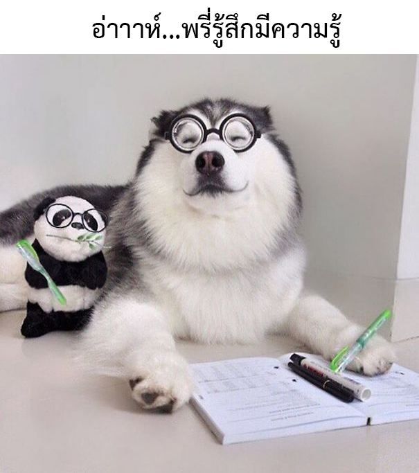 เมื่อคุณเผลอพูดอะไรที่มีสาระในสเปช...