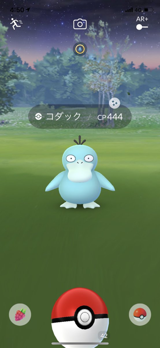 モラシム隊長 迷走中 そういえば 色違いコダック手に入れた ポケモンgo Pokemongo モラシム隊長 迷走中 そういえば 色違いコダック手に入れた ポケモンgo Pokemongo
