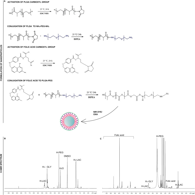 CancerNemi's tweet photo. Maximizing the potency of oxaliplatin coated nanoparticles with folic acid for modulating tumor progression in colorectal cancer

Ana Luiza C et al.

| Materials Science and Engineering: C |

https://t.co/PubBr4165b

#H2020 #MSCA #cancerproject https://t.co/WVCj7795F5