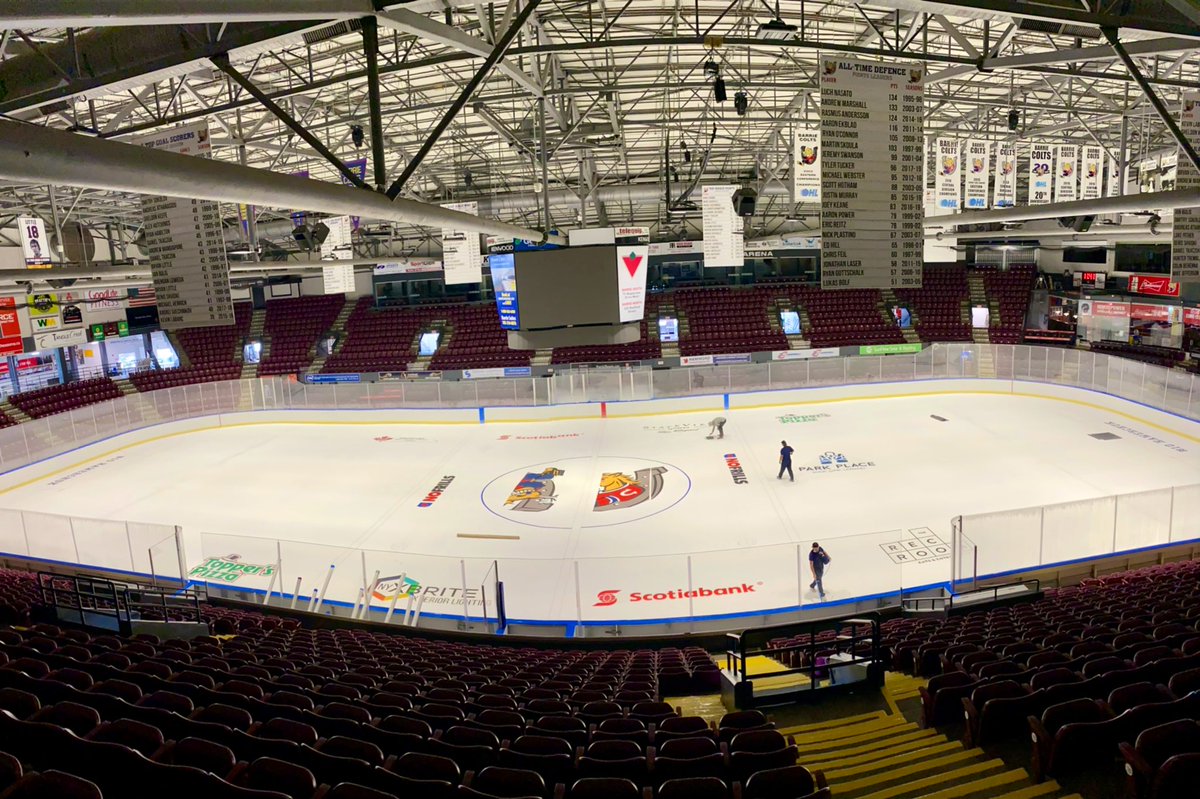 OHLBarrieColts's tweet photo. Things you love to see 👇

#BackInTheSaddle https://t.co/iZ6RyuUkbc