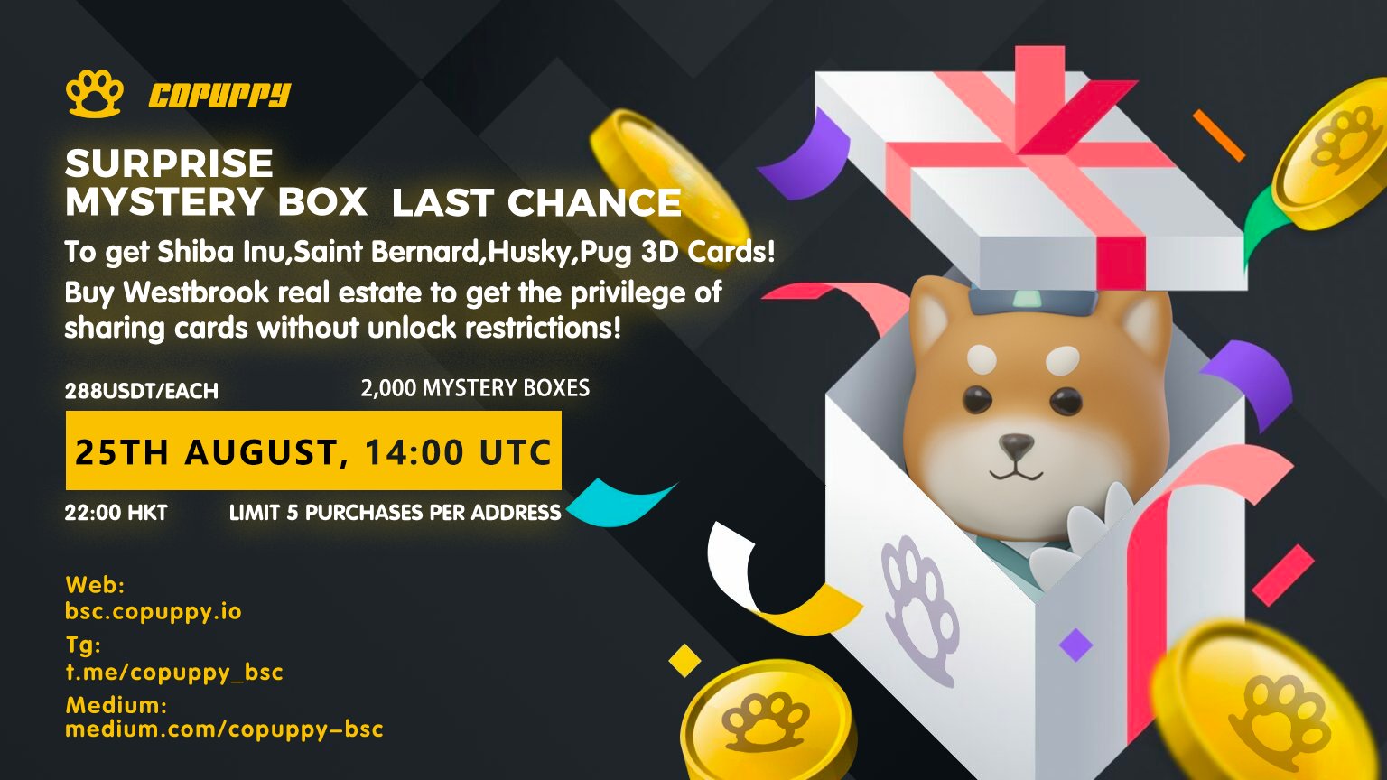 CoPuppy on X: 🏛️Community Matters 🔥3rd Round Surprise Mystery Box (3D  Share Card) ⏰Time: 25th Aug 14:00 UTC (22:00 HongKong Time) 🎯Venue:   💸Price: 288 USDT/Box (Price 20% up per round)  🎁Quantity