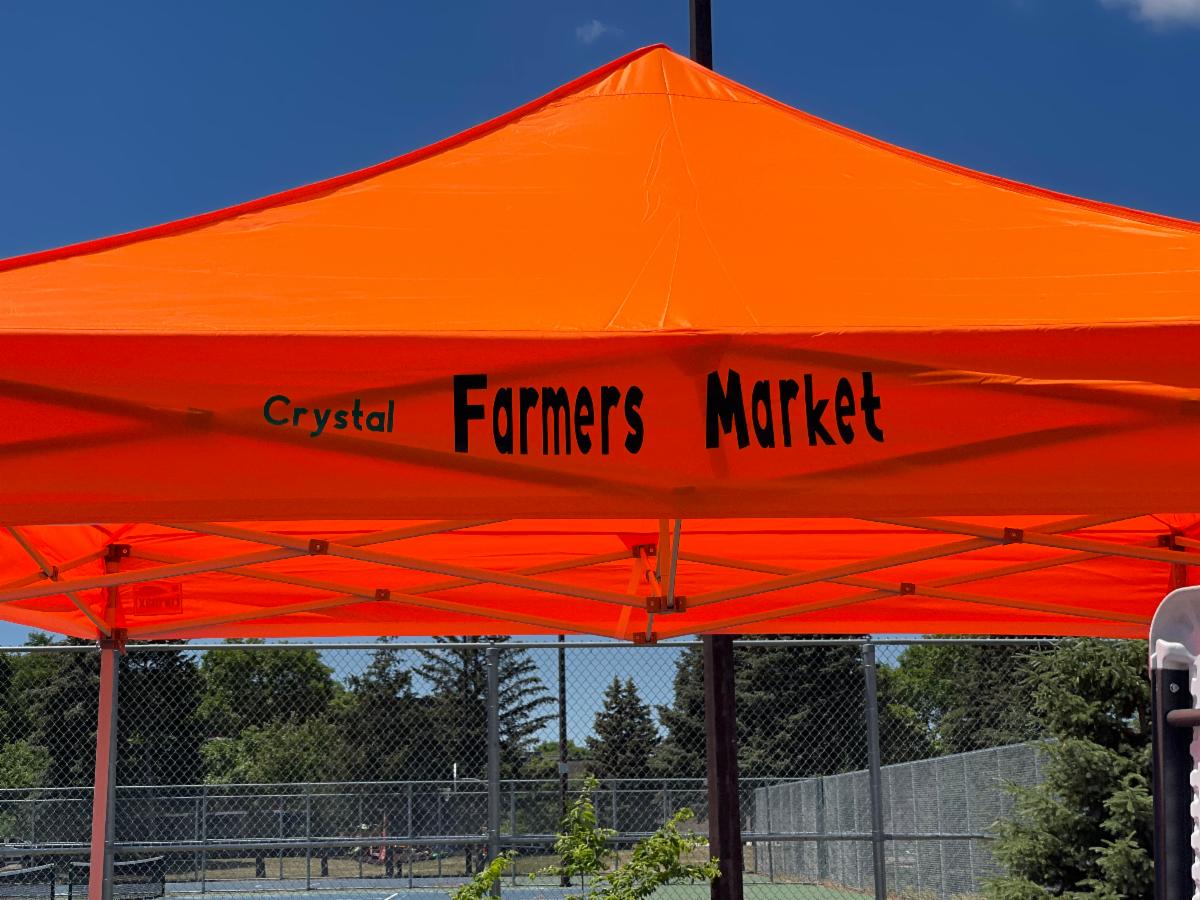 Crystal Recreation tweet media