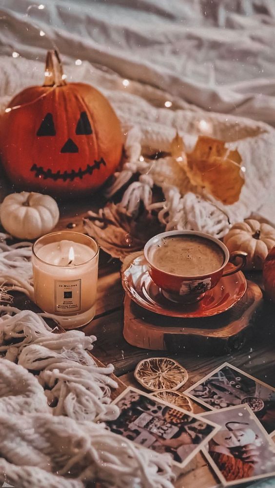 OfficialPLT's tweet photo. Ready for Autumn 🍁🎃 https://t.co/PIdx1bSx9H