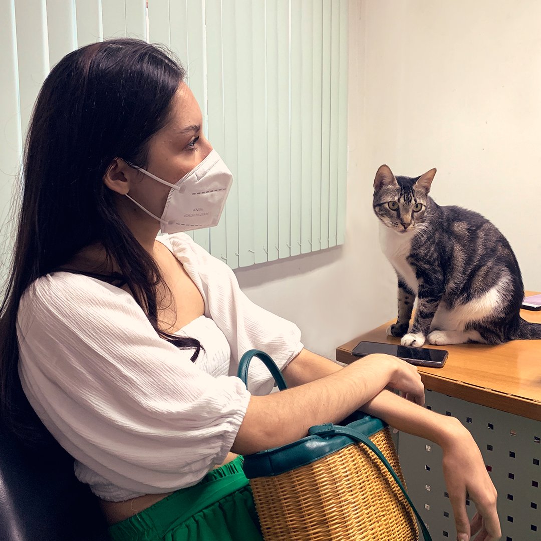 vrstudiocom's tweet image. 🐈 Olha com quem a nossa responsável pelo atendimento, @nayacosta, se reuniu na semana passada: com a Jobs.

Ela é um dos mascotes do nosso cliente, Tempera Filmes.