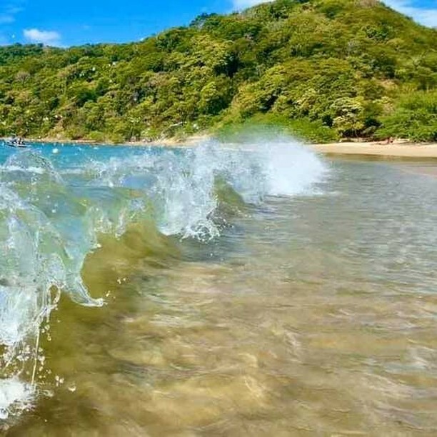 UnlimitedVC's tweet photo. Perfect weather in #DreamsLasMareas #CostaRica! Enjoy one of the most beautiful beaches in the area in front of our resort. #PlayaJobo.
🌞
¡Clima perfecto en #DreamsLasMareas #CostaRica! Disfruta de una de las más hermosas playas de la zona en frente … https://t.co/kMzDoeO4tF https://t.co/1AQg00aFfb
