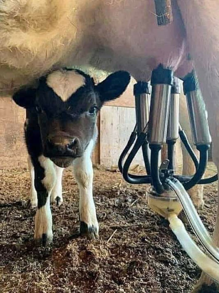 निजीकरण समझ मे आए तो RT जरूर करें। 🙏😐