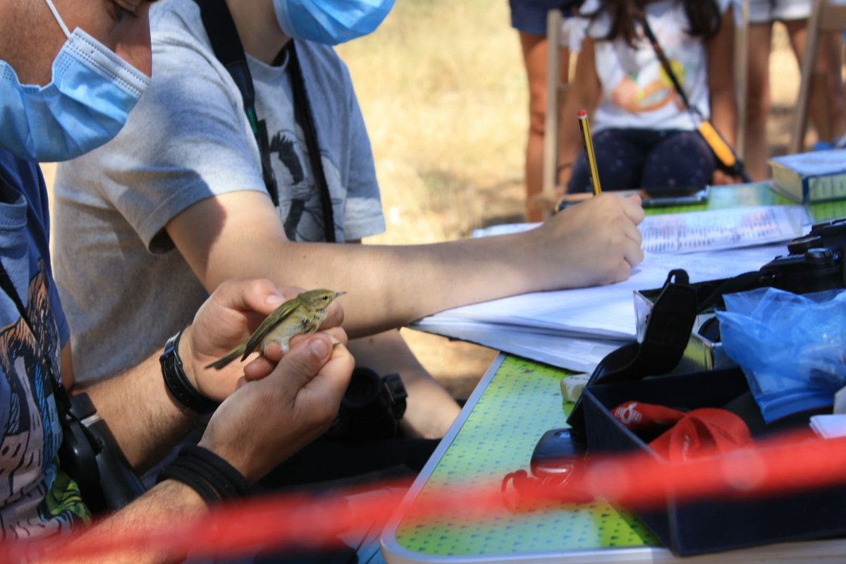 Crónica de las II Jornadas ornitológicas de Fuentecantos.<a href="/SEO_BirdLife/">SEO/BirdLife</a> <a href="/juancarlosgarh/">Juan Carlos García</a> cadenaser.com/emisora/2021/0…