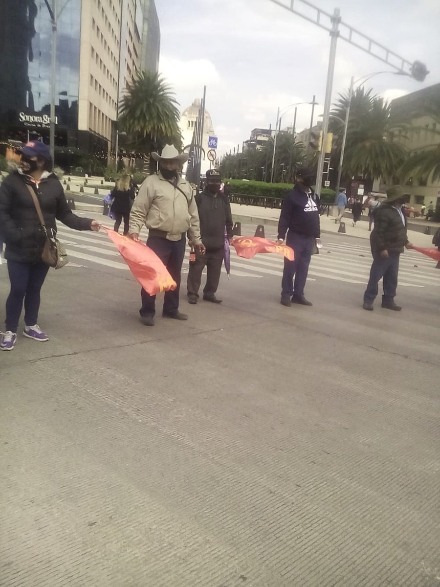 demusica_06's tweet photo. Acción Global por Tomás Martínez Pinacho. Bloqueo en Paseo de la Reforma

#JusticiaParaTomásMartínez
#FueElEstado
#OaxacaSinJusticia
#FueElPRI
#URTARTE
#TrabajadoresDelArte
#NoHasMuertoCamarada
#FPR https://t.co/hefX3j5Myk