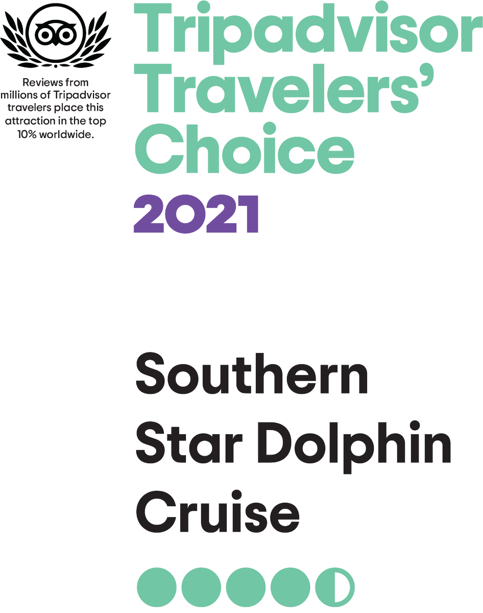 ⭐ ⭐ ⭐ ⭐ ⭐ 2021 TRIPADVISOR TRAVELER'S CHOICE AWARD RECIPIENT!!!   The Buccaneer, along with our sister ship, the <a href="/SouthernStarFL/">Southern Star Dolphin Cruise</a> are proud recipients once again for the <a href="/TripAdvisor/">Tripadvisor</a> "Traveler's Choice Awards" for 2021!  Thank you!  We give God the glory for all He has done!
