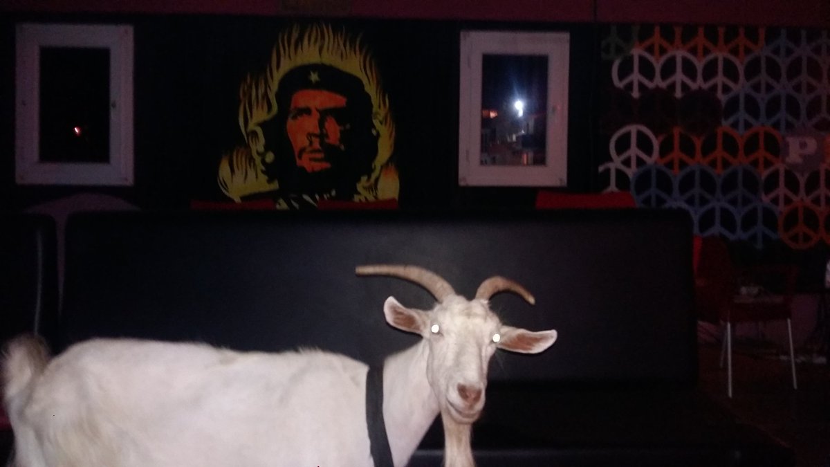 alpaslan korkmaz (@alpaslankorkmz) on Twitter photo 