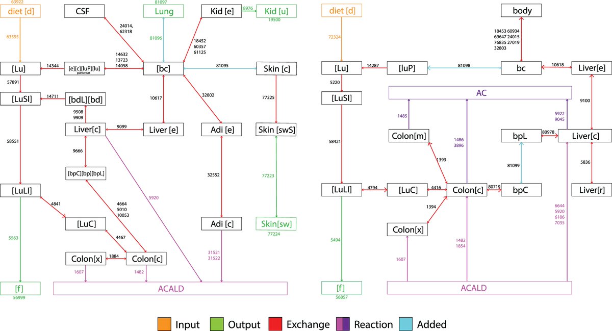 A pharmacokinetic model integrated with a #GenomeScaleModel to provide a more comprehensive view into the #metabolism of #ethanol and #acetaldehyde. 

Check out the publication here!: journals.plos.org/ploscompbiol/a…