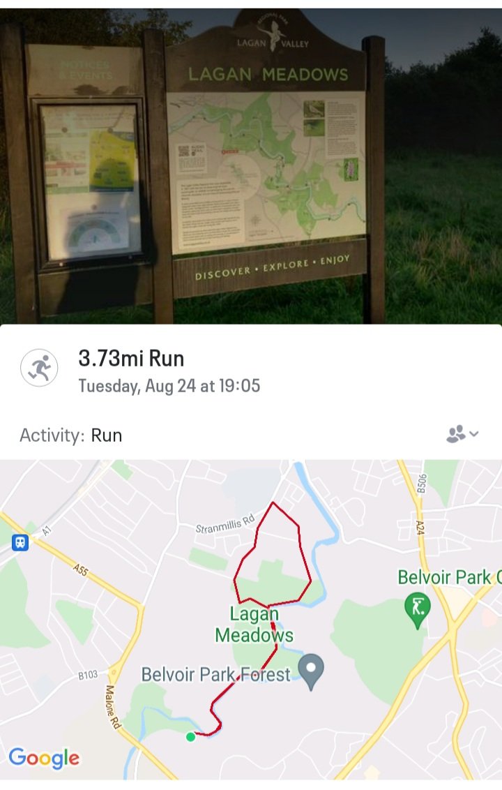 HaightonClaire's tweet photo. Day 24. Beautiful night for my 6k run at Lagan Meadows. #myphysicalphoto #AHPsActive #WeActiveChallenge #communitypaeds all activity counts https://t.co/vWbY7PCKRf