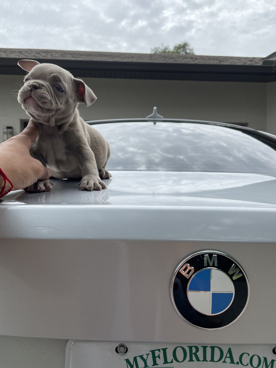 Been away for a hot minute had to take care a few things now I got time to play games 💪😈💪