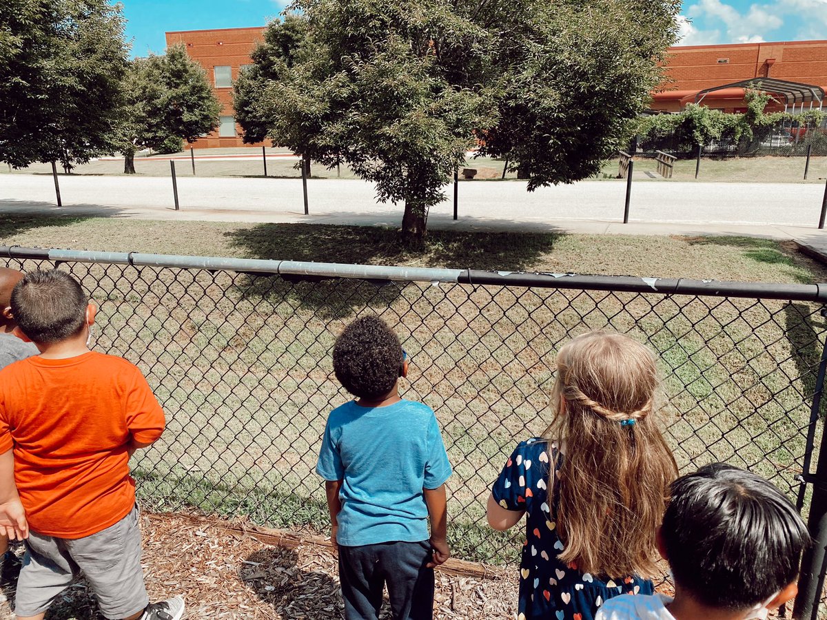 RCPS_EarlyLearn's tweet image. Praying mantis insect study #weregoingbuggy #insects #playgroundscience