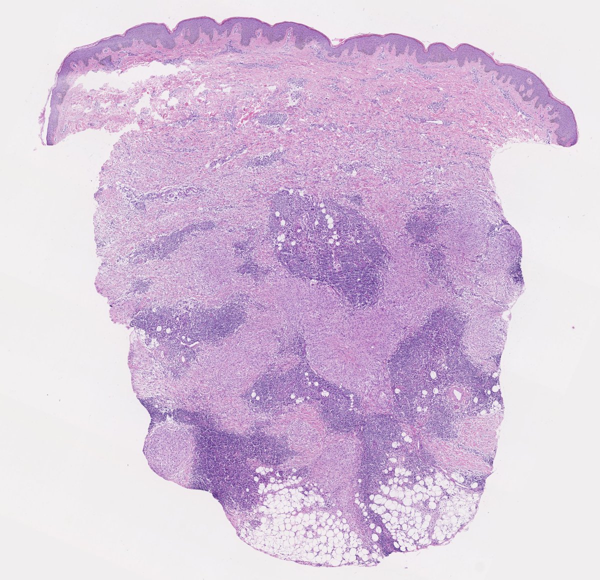 Henry YANG tweet media