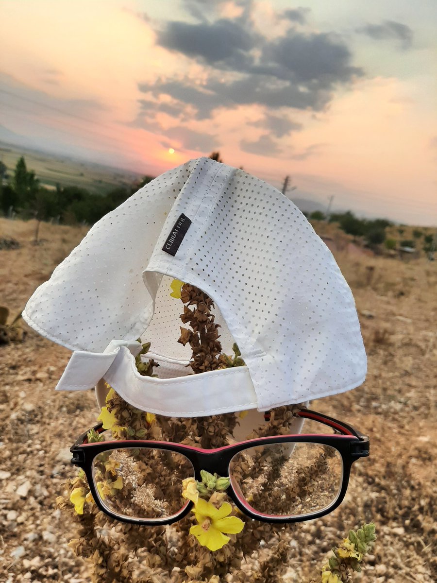 citizenoff's tweet photo. #settingsun #verbascumsinuatum #selfie my #glasses n #backwardhat https://t.co/Q78qtnlFP7