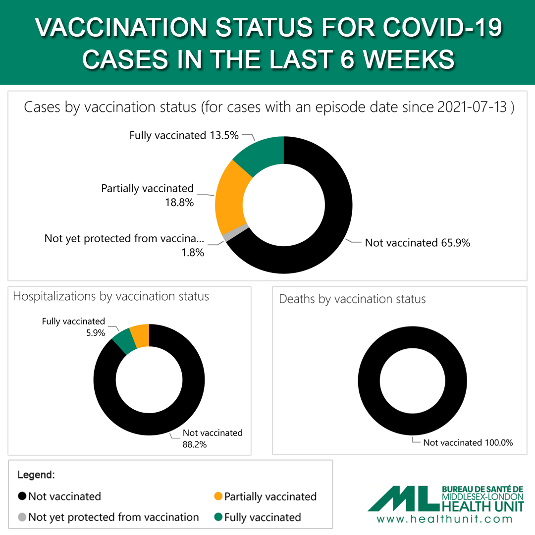 MLHealthUnit's tweet photo. Typically, we post our updated #Middlesex-#LdnOnt vaccination numbers on Tuesday, but today we’re switching it up. Here’s a breakdown of the vaccination status of COVID cases in the last 6 weeks. ⬇️ #VaccinesWork /1 https://t.co/CQtF7juA9v