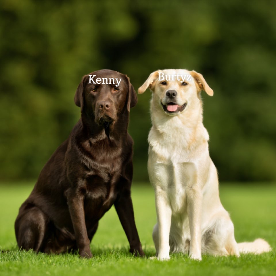 xKehny's tweet image. 2v2 @CMG_Esports #CHAMPS w/@Burtyz_ #GameTimer 😅