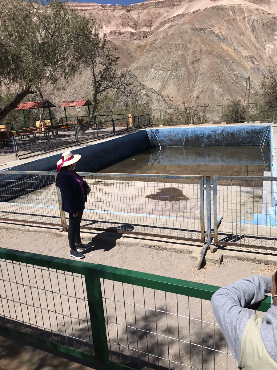 Muni_Camina's tweet photo. 🔴Ahora la alcaldesa Evelyn Mamani en terreno visitando la cancha y piscina del pueblo de Quistagama que requieren urgente atención. https://t.co/5uRuu0KwuL