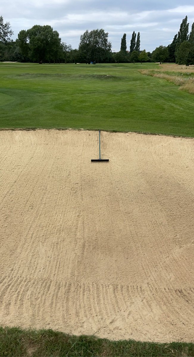 Finally getting on top of growth and presentation leading up to the AmAm and Ealing Scratch this weekend… the team have done great after all the rain and flooding!