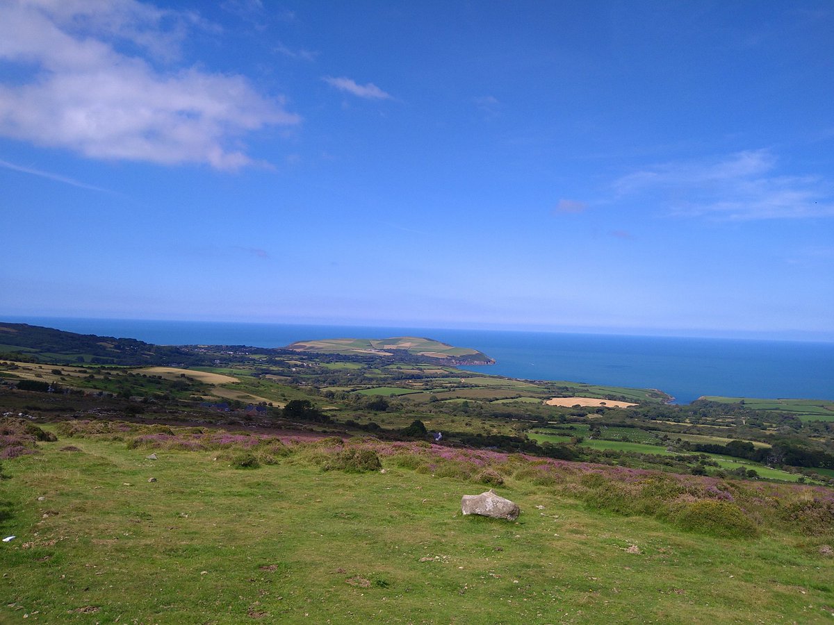 Nick Reeves tweet media