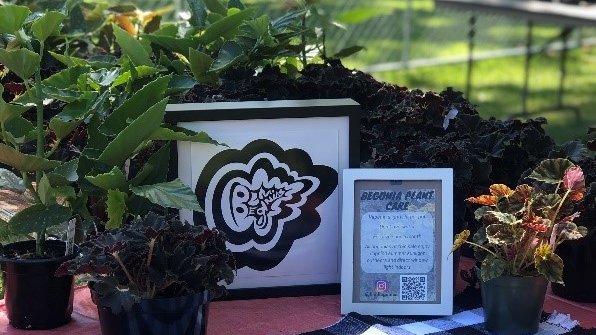 Translational Plant Sciences @ OSU (@tps_osu) on Twitter photo Check out the latest blog post by TPS PhD candidate <a href="/RCombsGiroir/">Rachel Combs-Giroir</a> about BLMbegonias to learn about how <a href="/regularfrill/">Jordan (JL) Hartman</a> used his plant expertise to raise money to support the BLM movement.
tpsgp.osu.edu/news/blmbegoni… Check out the latest blog post by TPS PhD candidate <a href="/RCombsGiroir/">Rachel Combs-Giroir</a> about BLMbegonias to learn about how <a href="/regularfrill/">Jordan (JL) Hartman</a> used his plant expertise to raise money to support the BLM movement.
tpsgp.osu.edu/news/blmbegoni…