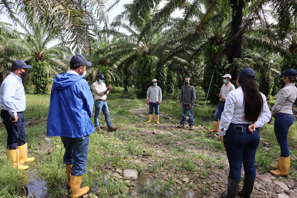 #AEstaHora | Alcibiades Hinestroza <a href="/alcibiadesh/">Alcibiades Hinestroz</a>, Líder de Asistencia Técnica de <a href="/CenipalmaOrg/">Cenipalma</a> junto a Óscar Sanabria, Antropólogo, explican la estrategia de caracterización socioeconómica a representantes de la Extractora Sur del Casanare.