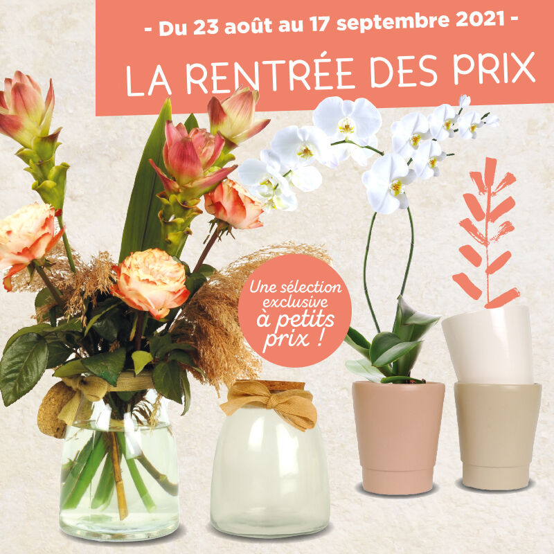 Renaud Distribution tweet media