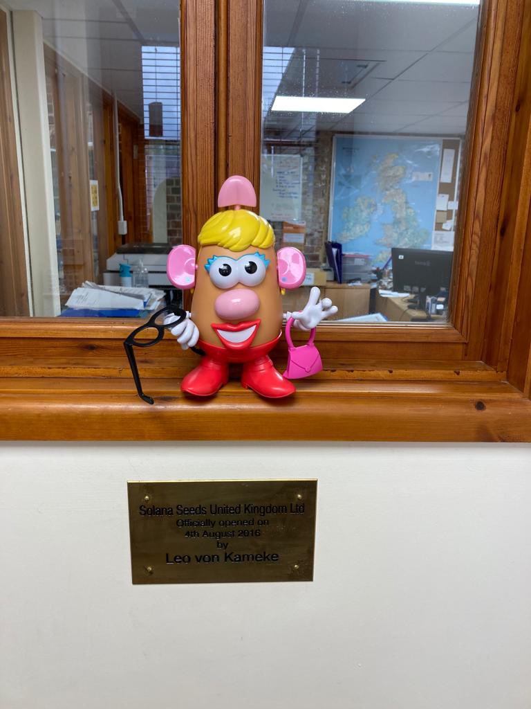 Trouble in paradise! With Mr Potato-Head off on his adventure to Scotland, Mrs Potato-Head has kept his glasses with her in England as payback 🥔🥔