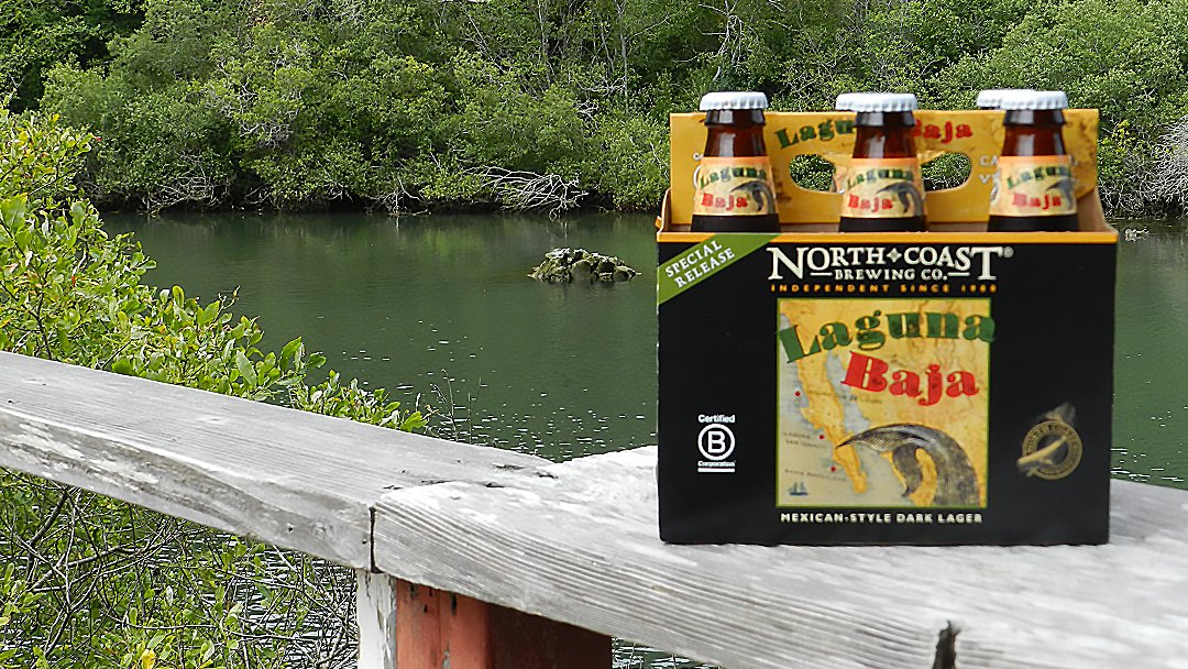 Pictured in front of the Noyo River, our primary water source, Laguna Baja is a Vienna style dark lager, in the Mexican mode.
#lagunabaja #viennalager #darklager #mexicanstyle #craftbeer #independentbeer #bcorp #saveourwater #waterisprecious #waterislife