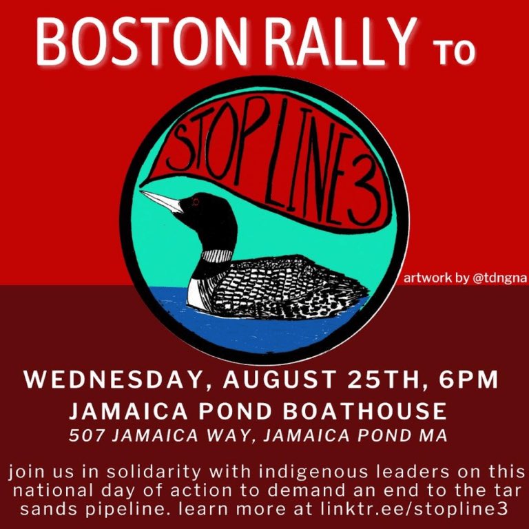 the_lesbiana's tweet image. #StopLine3 #StopLine3Pipeline masspeaceaction.org/event/boston-r…
