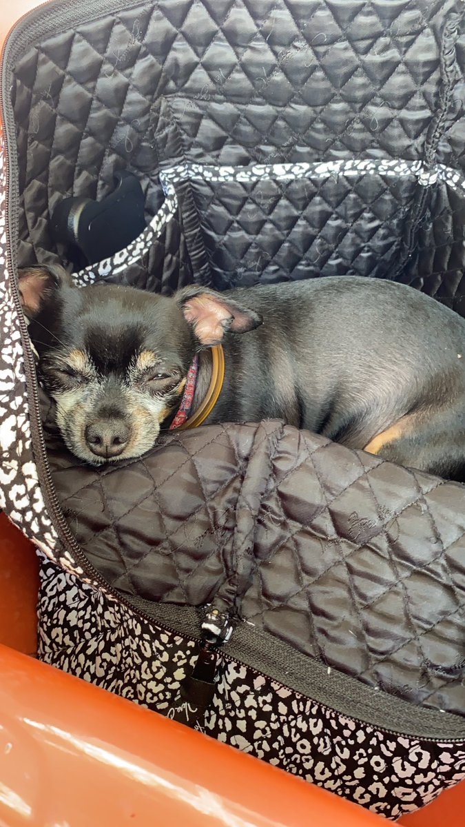 Thank you <a href="/CoryBooker/">Cory Booker</a> for replying to pleas for help. You are a bright light in my time of need.