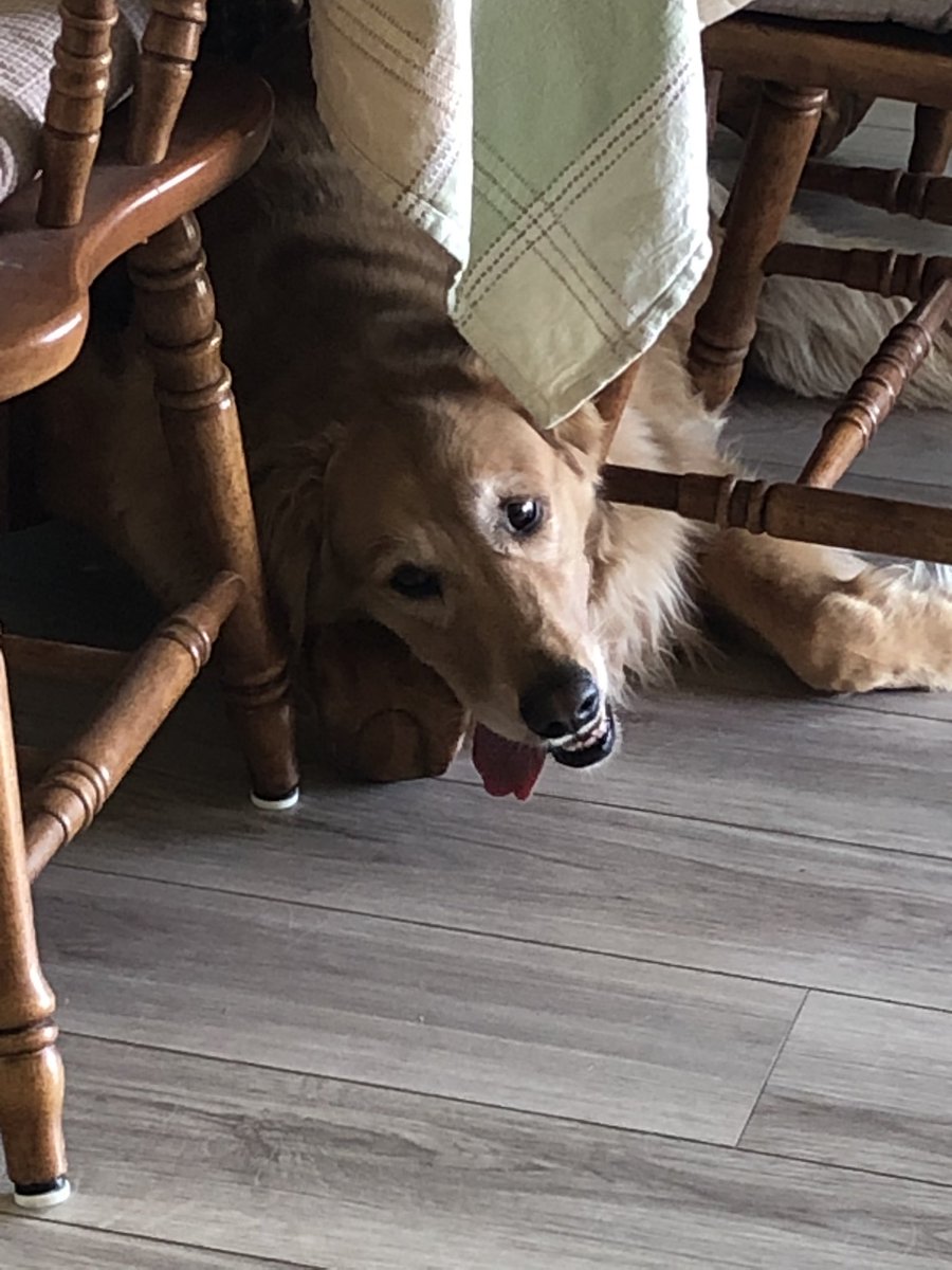 KeisWorldComics's tweet image. Lady of the Tongue 👅