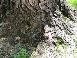 bethberila's tweet photo. As many of us us start Fall classes, what is resourcing you?  What can you do to notice beauty, connect with what is around you? What helps you breathe safely, more deeply, nourished? I invite us all to be intentional about resourcing ourselves this Fall. https://t.co/ErqSXHqNmZ