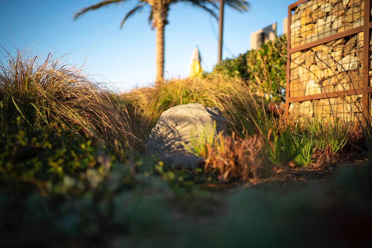 Take Outdoor audio to a whole different level with Sonance speakers that are Designed to Disappear into the landscape, and produce magical even balanced coverage.  

#sonancebeyondsound #designedtodisappear #commercialaudio #luxurydistributedaudio