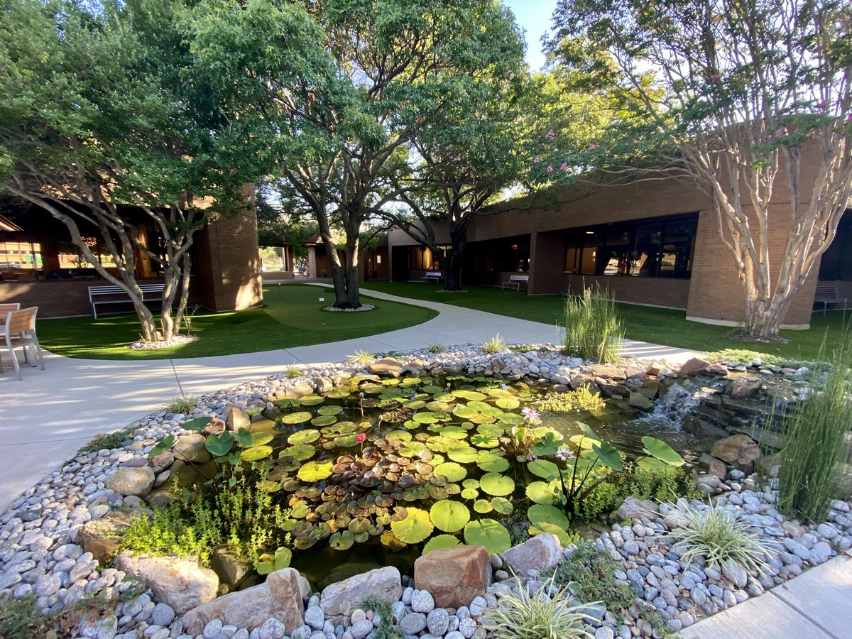 MindtapDigital's tweet image. Another day at the office! @HEXA_TX