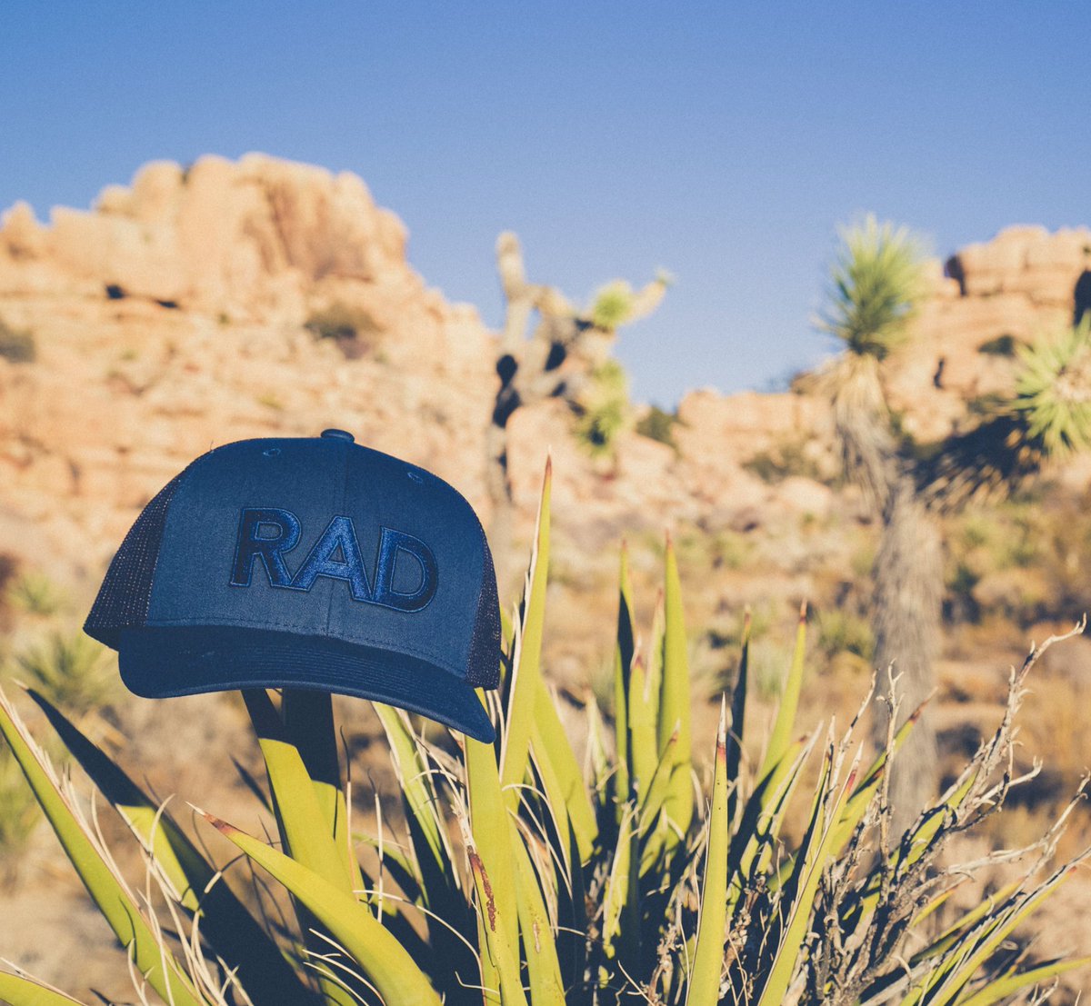 radmorgolf tweet media