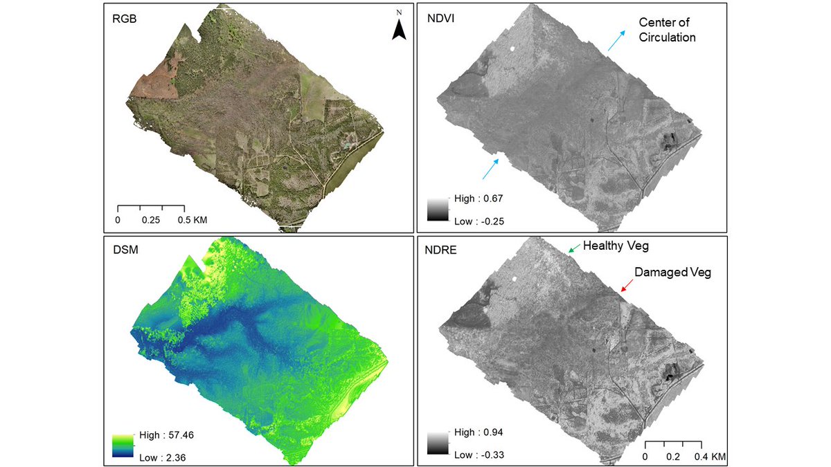 nwas's tweet photo. Wagner:  Healthier vegetation can be seen in our data. #NWAS21 https://t.co/qLnp8u8bhA