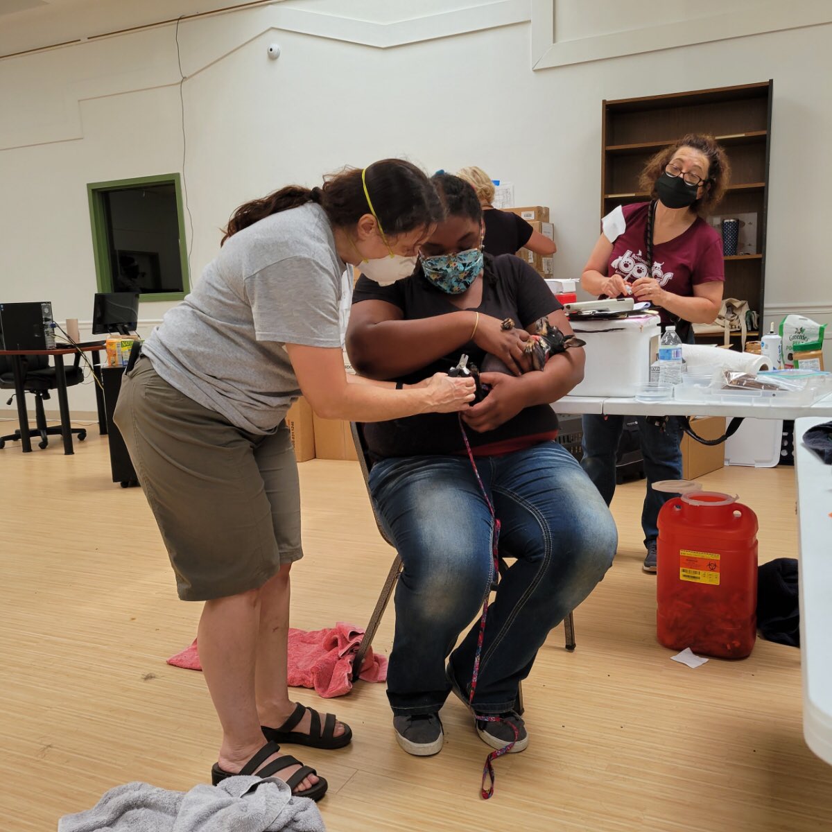 ROAPpetrescue's tweet photo. On Saturday, we were able to join @BARCS_SHELTER in Park Heights for a FREE vaccine clinic. People were able to sign up for free spay/neuter, meet the trainer, and pet food. It was great serving our community with friends from @CharmCityCompan, #VCA, and #BARCS https://t.co/3F2Wz4AGgW
