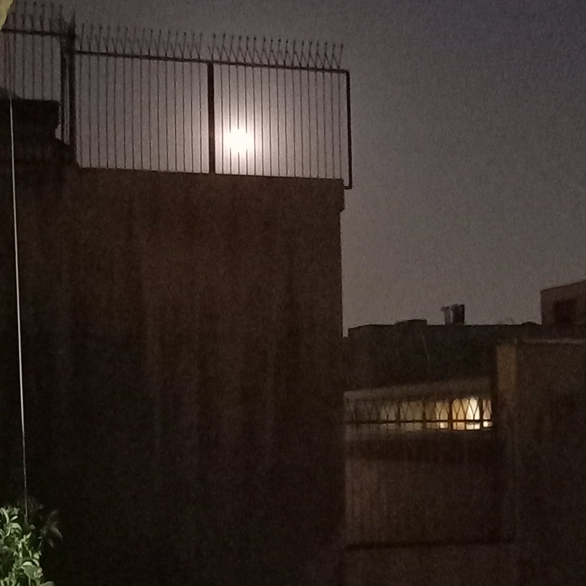 هنوزم تو شب‌هات اگه ماهو داری...