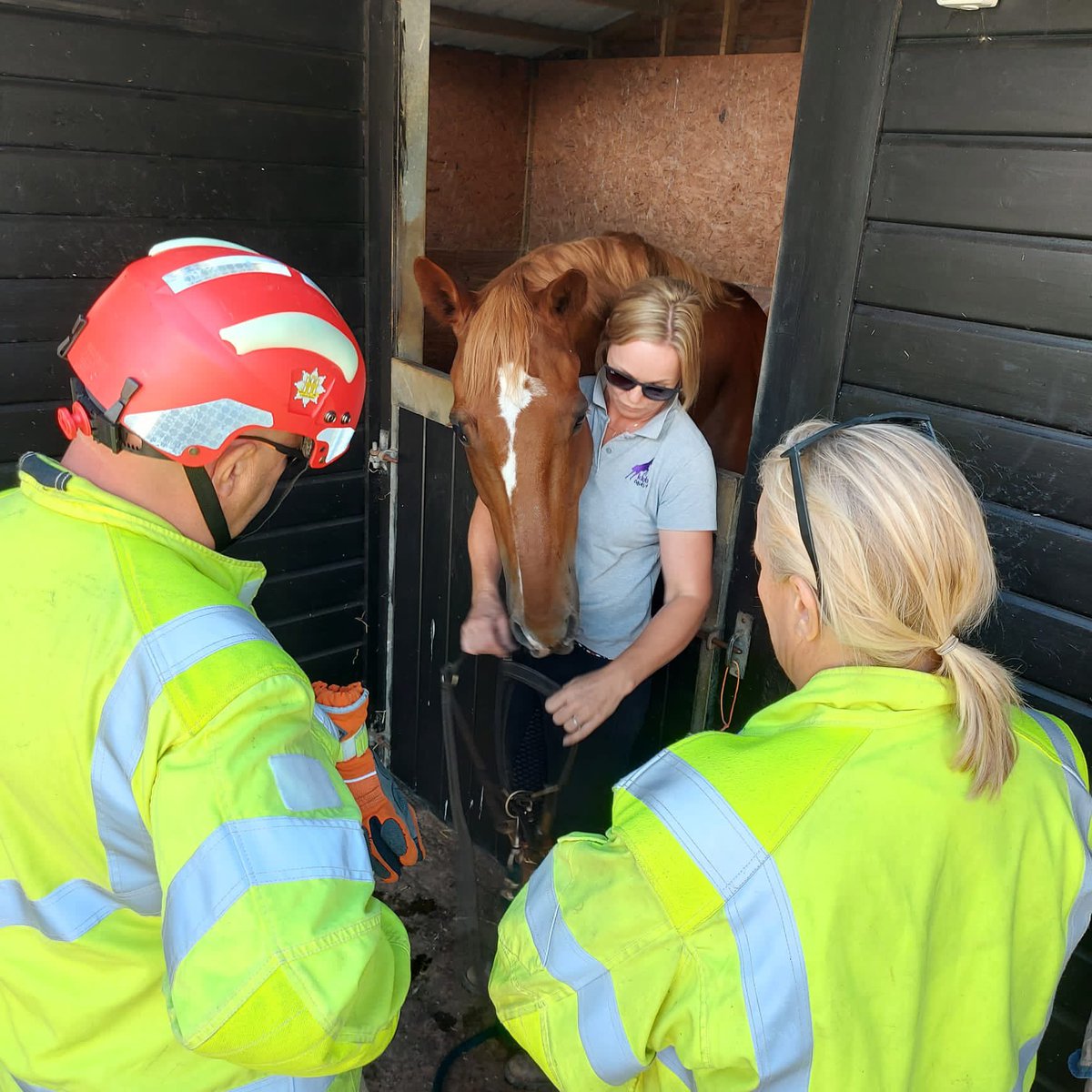 SFRSTraining's tweet photo. Great 2 day Animal Rescue refresher course for @SuffolkFire Amazing opportunity to get hands on with livestock in the farming environment. Huge thanks to @OldHallFm Bullit Services - David love, Klub Equest livery stables - Jose Lewis https://t.co/85lVgOnpC8