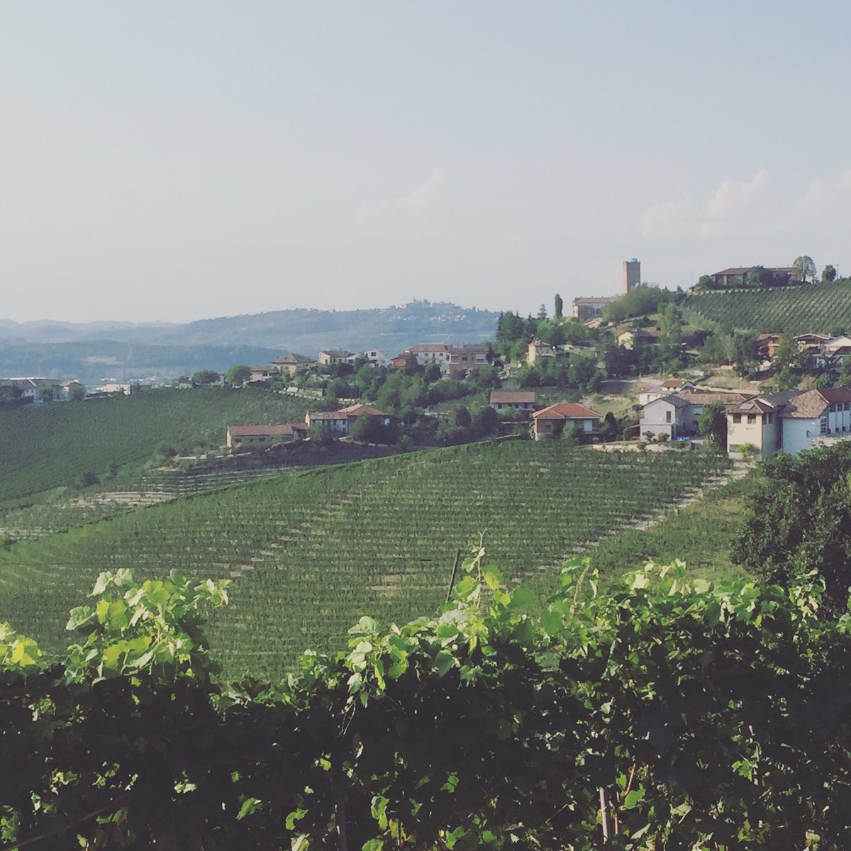 MeetPiemonte's tweet photo. Happy guests are enjoying dream-come-true vacations in northwest Italy with our team of experienced and vetted professionals.
.
#italytravel #italyvacations #northernitaly #luxurytravel https://t.co/uxbr03vzXo